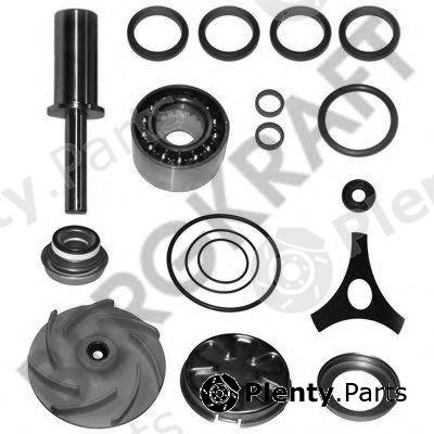  BERGKRAFT part BK4227722WP Repair Kit, water pump