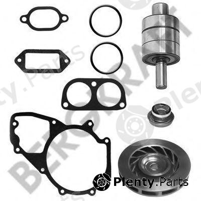  BERGKRAFT part BK3297722WP Repair Kit, water pump