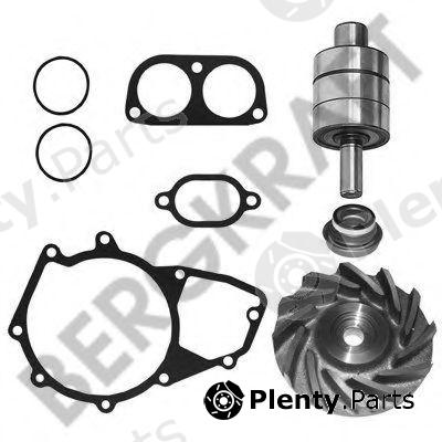 BERGKRAFT part BK2217722WP Repair Kit, water pump
