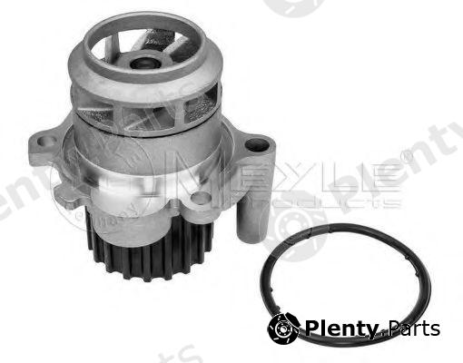  MEYLE part 1130120059 Water Pump
