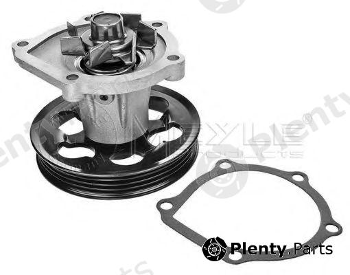  MEYLE part 30-131610010 (30131610010) Water Pump