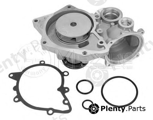  MEYLE part 3130113100 Water Pump