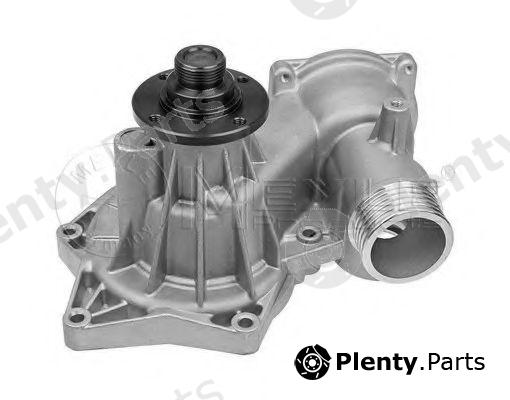  MEYLE part 3130113100 Water Pump