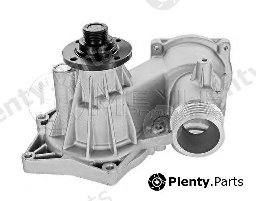  MEYLE part 3130113300 Water Pump