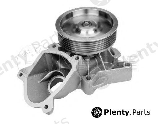  MEYLE part 3132200001 Water Pump