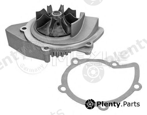  MEYLE part 5132200002 Water Pump