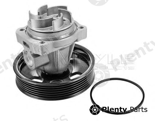  MEYLE part 6132200002 Water Pump