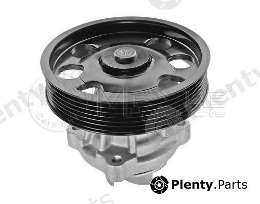  MEYLE part 6132200002 Water Pump