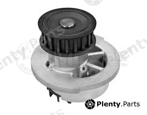  MEYLE part 6136004098 Water Pump
