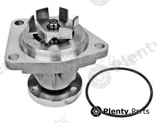  MEYLE part 8138831944 Water Pump