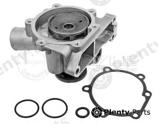  MEYLE part 8139321688 Water Pump