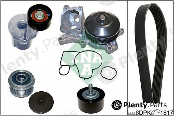  INA part 529004830 Water Pump + V-Ribbed Belt Kit