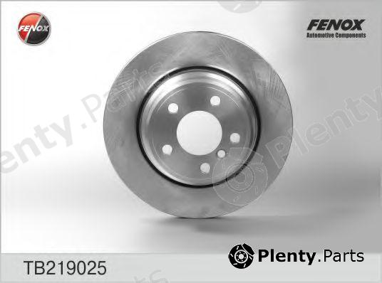  FENOX part TB219025 Brake Disc