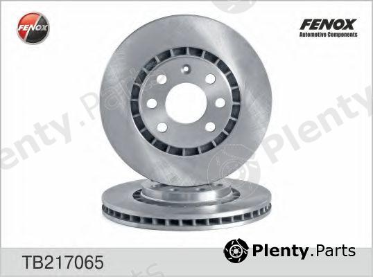  FENOX part TB217065 Brake Disc