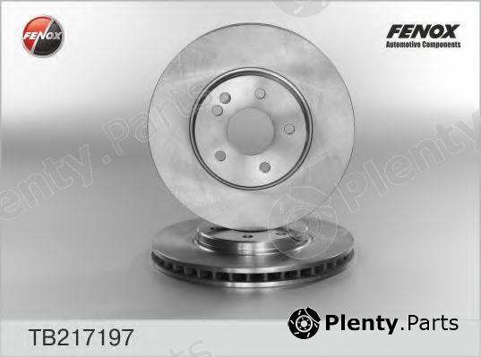  FENOX part TB217197 Brake Disc