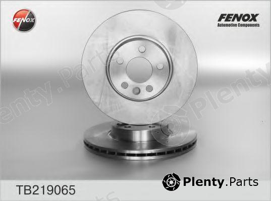  FENOX part TB219065 Brake Disc