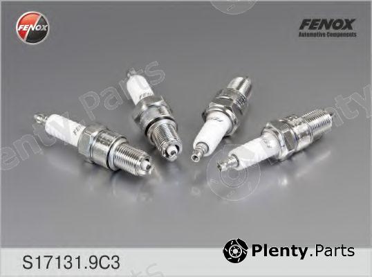  FENOX part S17131.9C3 (S171319C3) Spark Plug