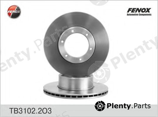  FENOX part TB3102.2O3 (TB31022O3) Brake Disc