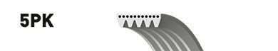  GATES part 5PK1495 V-Ribbed Belts