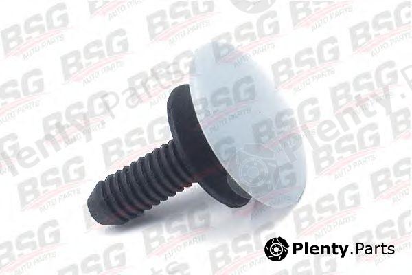  BSG part BSG30-995-012 (BSG30995012) Clip