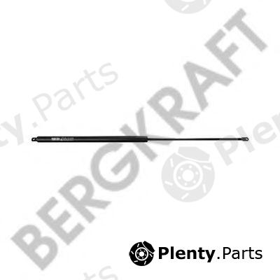  BERGKRAFT part BK2938921SP Gas Spring, front panel