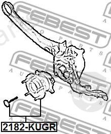  FEBEST part 2182-KUGR (2182KUGR) Wheel Hub