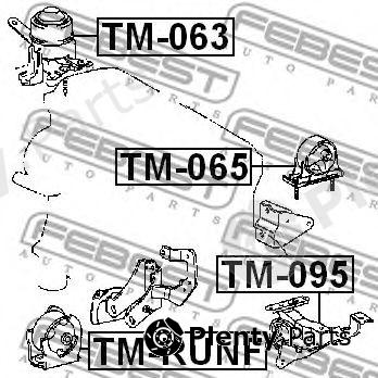  FEBEST part TM095 Engine Mounting