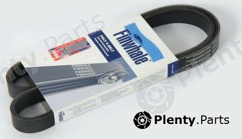  FINWHALE part BP6113 V-Ribbed Belts