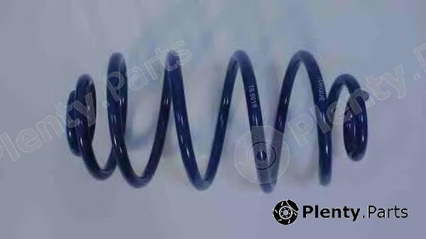 TORQUE part TS5019 Coil Spring