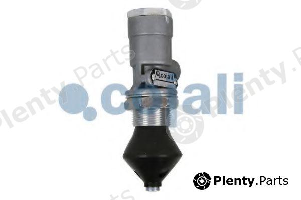  COJALI part 2213201 Multiport Valve