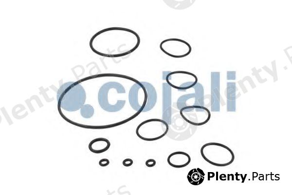  COJALI part 6012030 Repair Kit, brake-power regulator