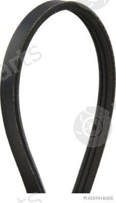  HERTH+BUSS JAKOPARTS part J1031000 V-Ribbed Belts