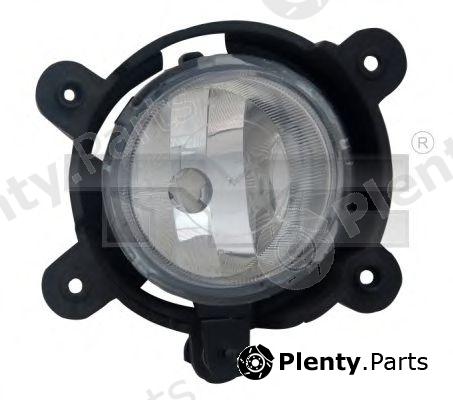  TYC part 19-0629-01-9 (190629019) Fog Light