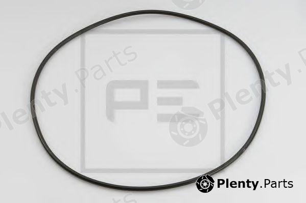  PE Automotive part 011.060-00A (01106000A) Seal, wheel hub planetary gear