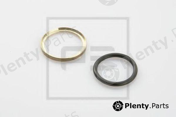  PE Automotive part 076.244-00A (07624400A) Pressure Ring