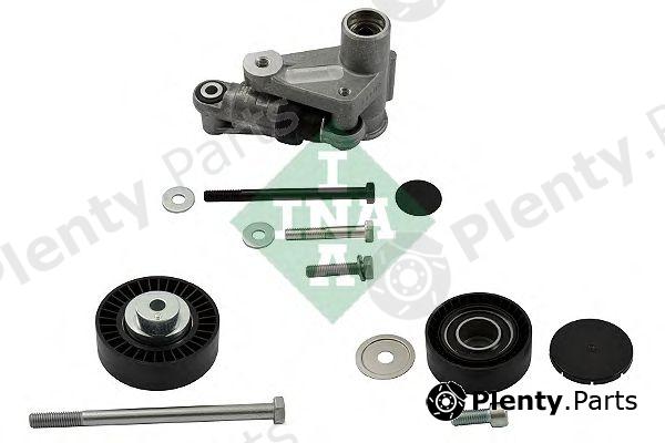  INA part 530049709 Pulley Kit, v-ribbed belt