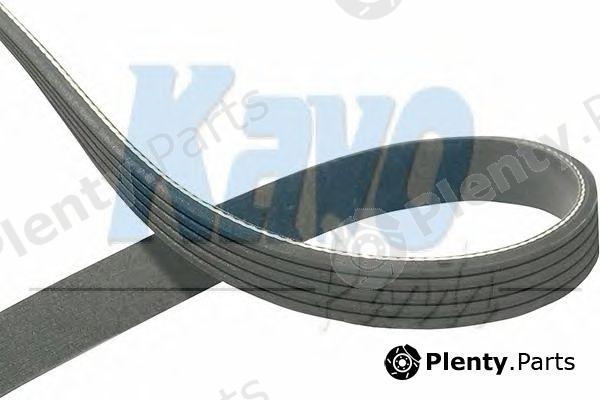  KAVO PARTS part DMV-9073 (DMV9073) V-Ribbed Belts
