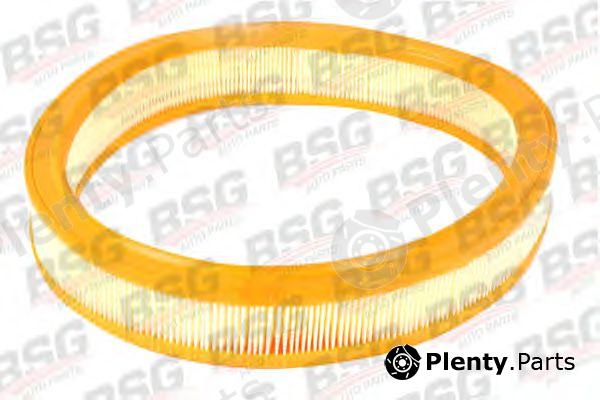  BSG part BSG30-135-008 (BSG30135008) Air Filter