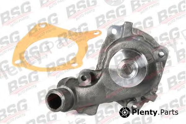  BSG part BSG30-500-017 (BSG30500017) Water Pump