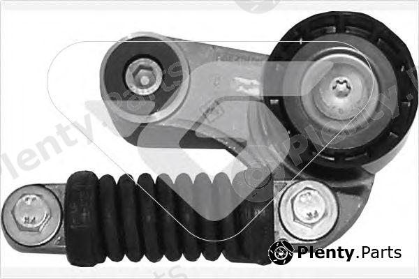  HUTCHINSON part T2013 Tensioner Pulley, v-ribbed belt