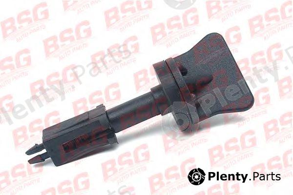  BSG part BSG30-521-001 (BSG30521001) Breather Screw/-valve, radiator
