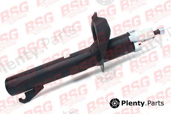  BSG part BSG30-300-013 (BSG30300013) Shock Absorber