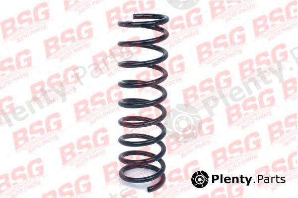  BSG part BSG30-305-018 (BSG30305018) Coil Spring