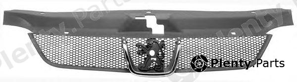  PHIRA part P221 Radiator Grille