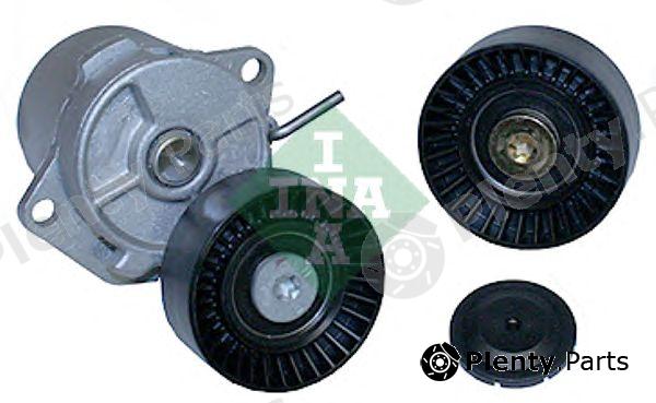  INA part 530040409 Pulley Kit, v-ribbed belt
