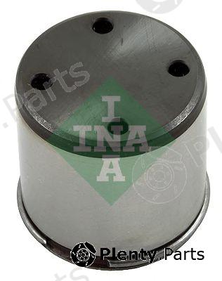  INA part 711024510 Plunger, high pressure pump