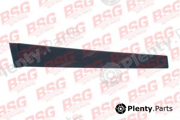  BSG part BSG30-925-002 (BSG30925002) Trim/Protective strip, door window