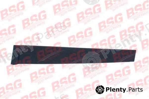  BSG part BSG30-925-003 (BSG30925003) Trim/Protective strip, door window