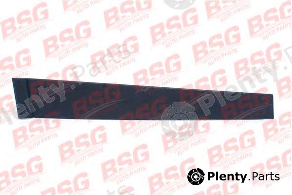  BSG part BSG30-925-004 (BSG30925004) Trim/Protective strip, door window