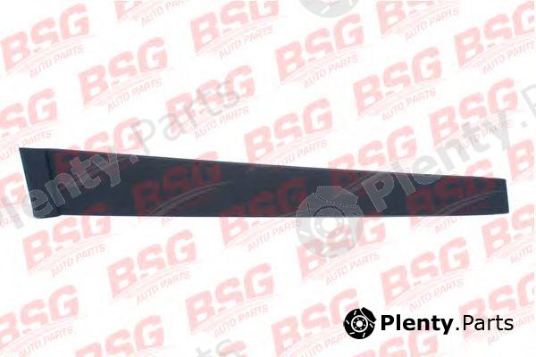  BSG part BSG30-925-006 (BSG30925006) Trim/Protective strip, door window